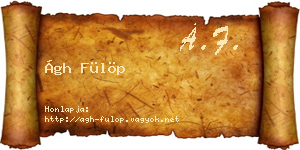 Ágh Fülöp névjegykártya